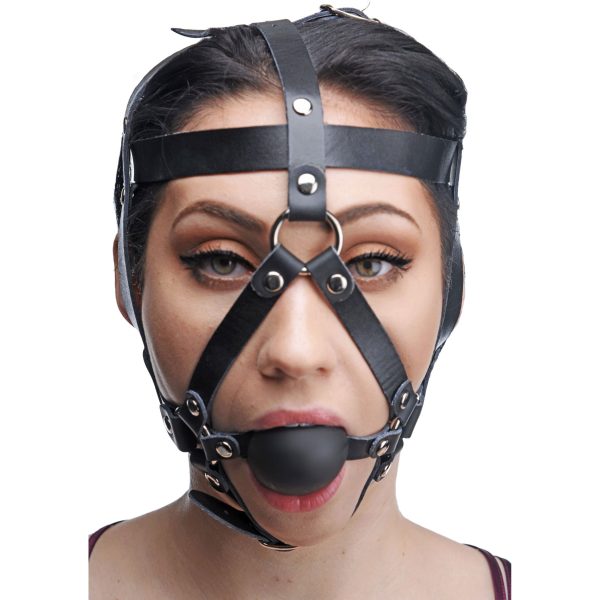 Trap your lover in the confines of this secure and attractive head harness